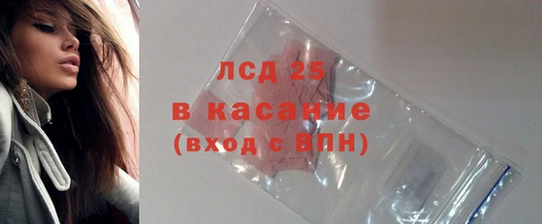 прущие грибы Алзамай