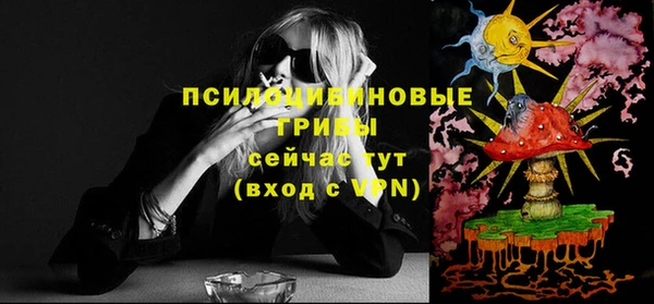 Альфа ПВП Арсеньев