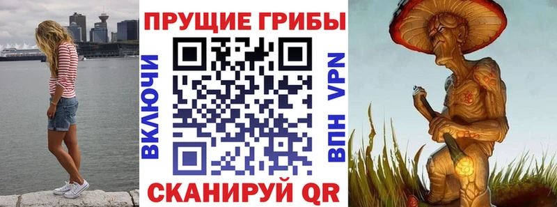 Псилоцибиновые грибы мухоморы  маркетплейс телеграм  Рудня 